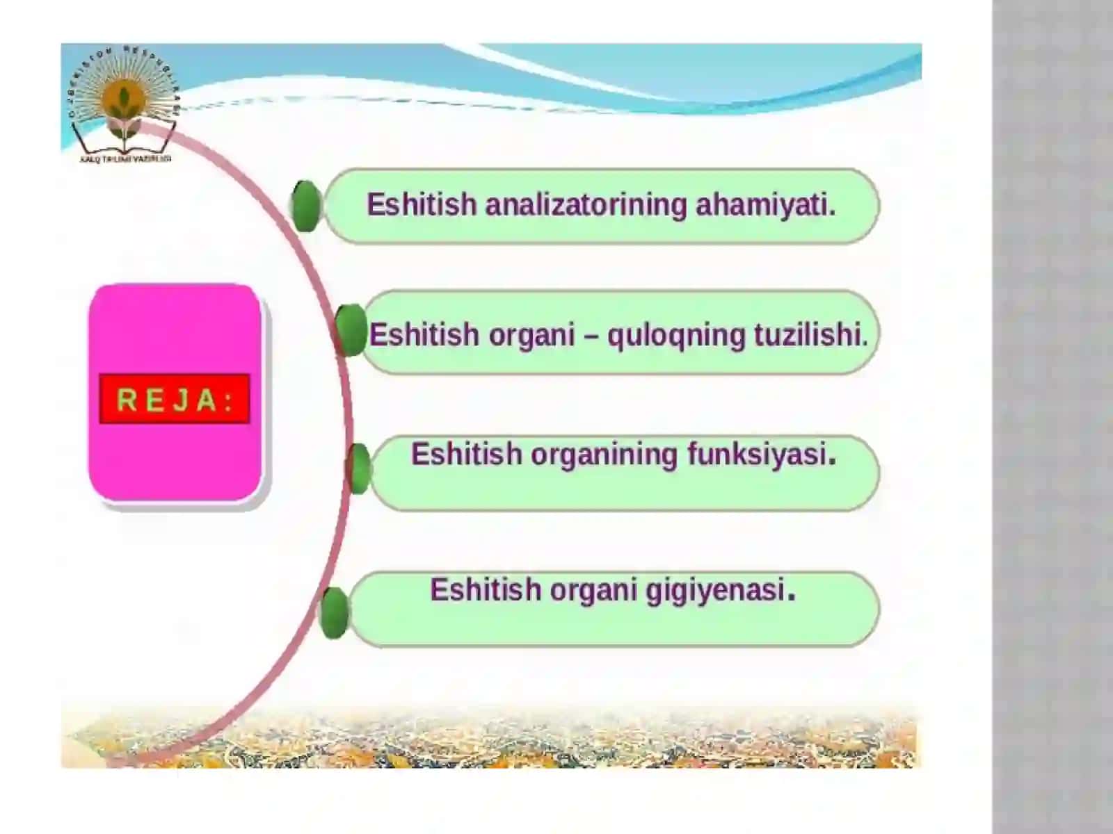 Eshitish organlarining tuzilishi, eshitish gigiyenasi 2