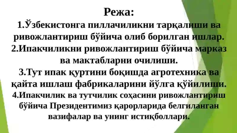 Ўзбекистонда ипакчиликни ривожлантириш ва ишлаб чиқариш истиқболлари 2