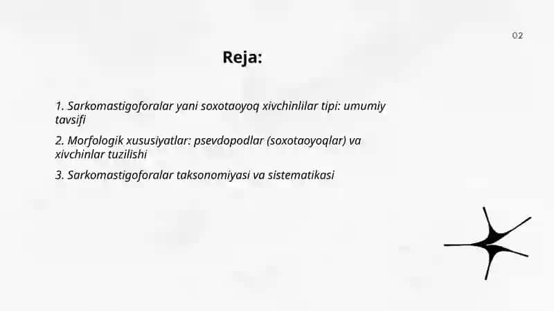 Sarkomastigoforalar yáni soxotaoyoq xivchinlilar tipi 2