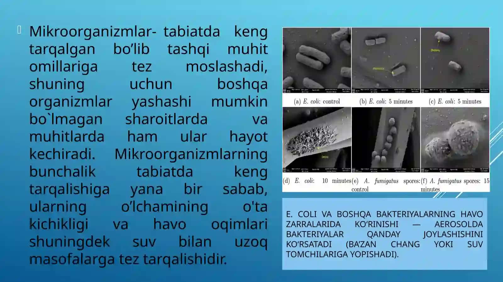 Mikroorganizmlarning o'sishigata'sir etuvchi ekologik omillar 2