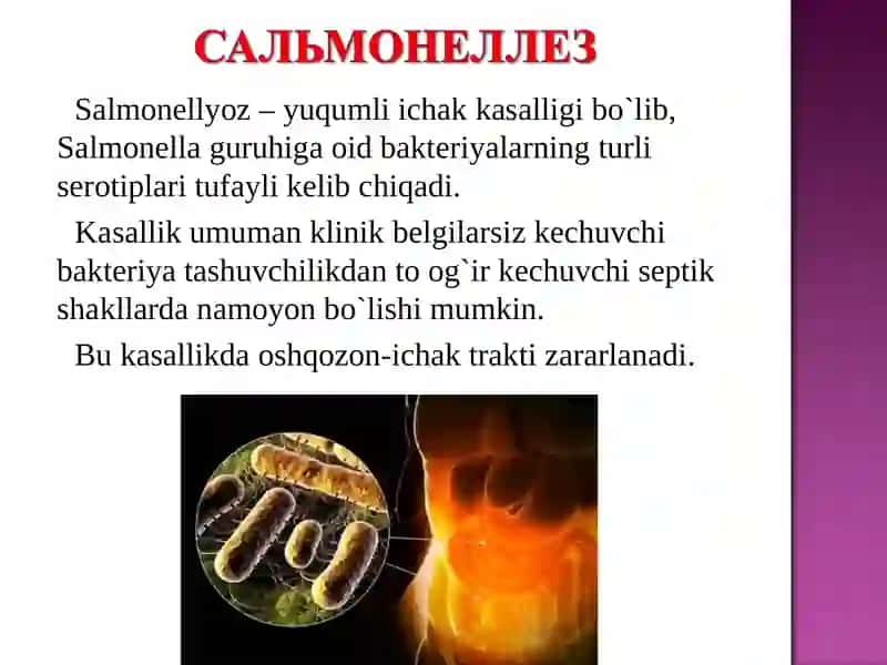 Salmonellyoz – yuqumli ichak kasalligi 2