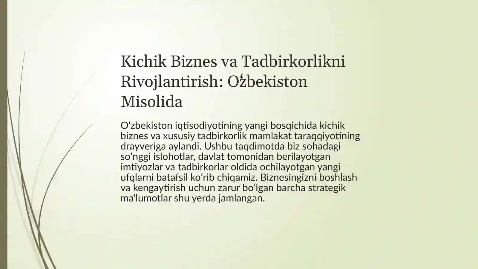 Kichik Biznes va Tadbirkorlikni Rivojlantirish: Oʻzbekiston Misolida 2