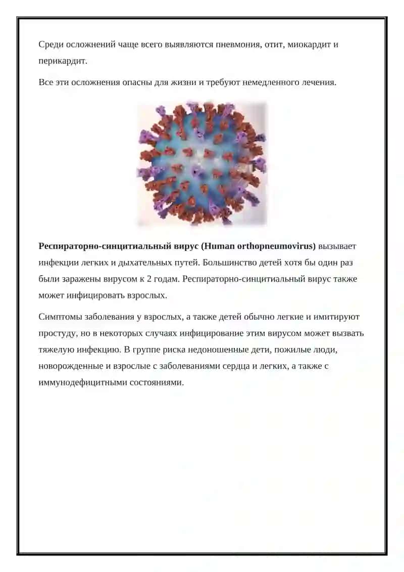 Возбудители острых респираторных инфекций 2