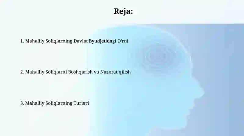 Mahalliy soliqlarning turlari va davlat byudjetidagi orni 2