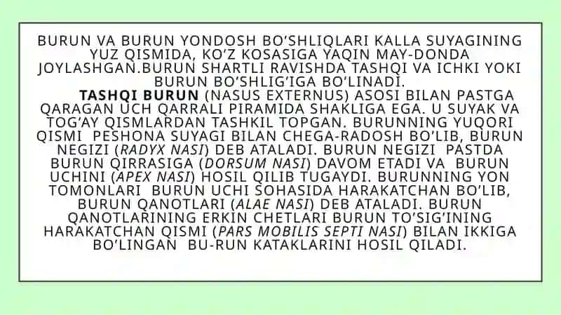 Burunning yon boʻshliqlarining klinik anatomiyasi 2