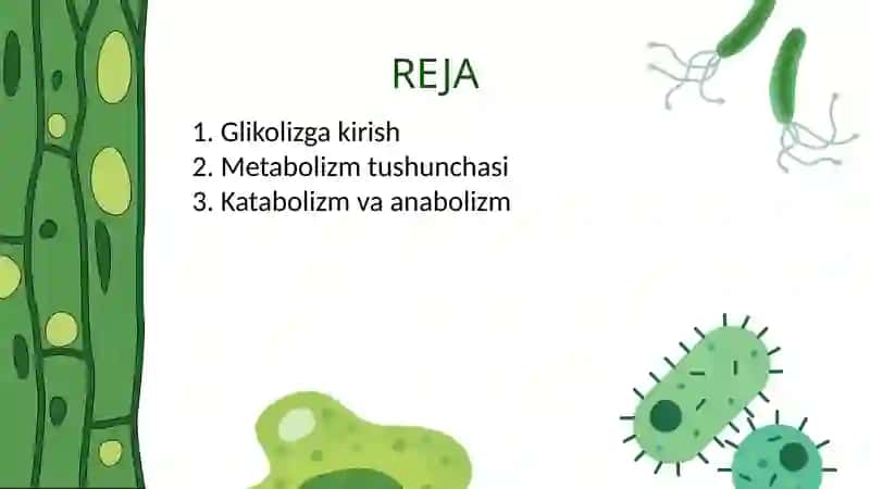 Glikolizlarning ayrim reaksiyalari va metabolik jarayonlarning asosiy yo'llari 2
