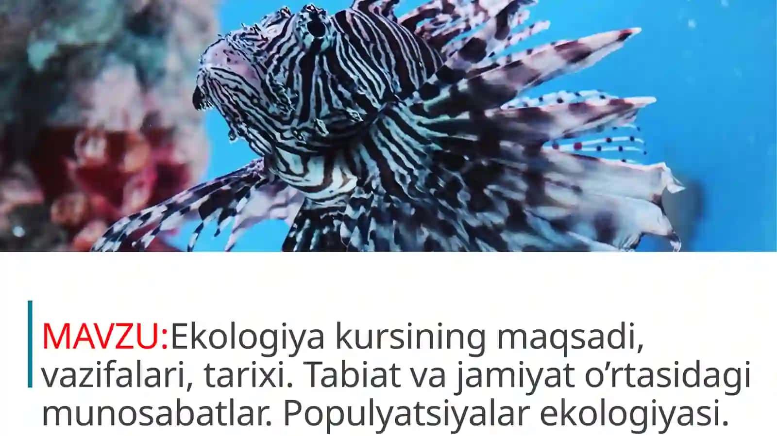 Ekologiyakursining maqsadi, vazifalari, tarixi. Tabiat va jamiyat o’rtasidagi munosabatlar. Populyatsiyalarekologiyasi 2