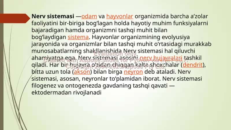 Nerv sistemasi 2