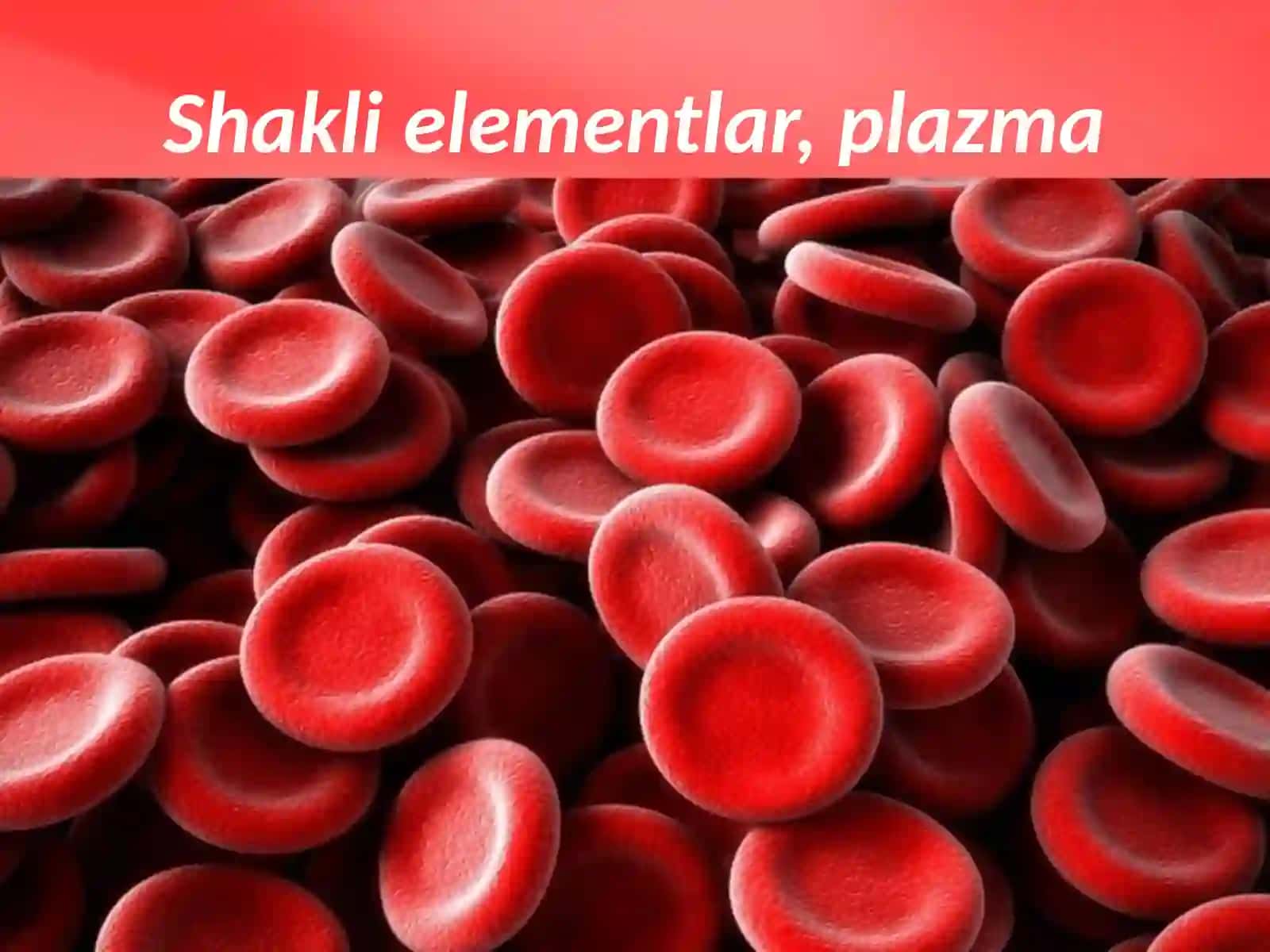 Qonning tarkibi va shaklli elementlari 2