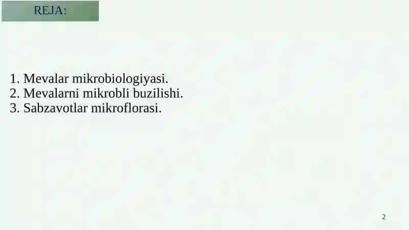 Bakteriyaning meva va sabzavot ekinlaridagi oqibatlari 2