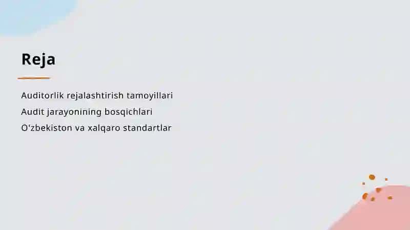 Auditorlik tekshiruvi-nirejalashtirishning tamoyillari va bosqichlari 2
