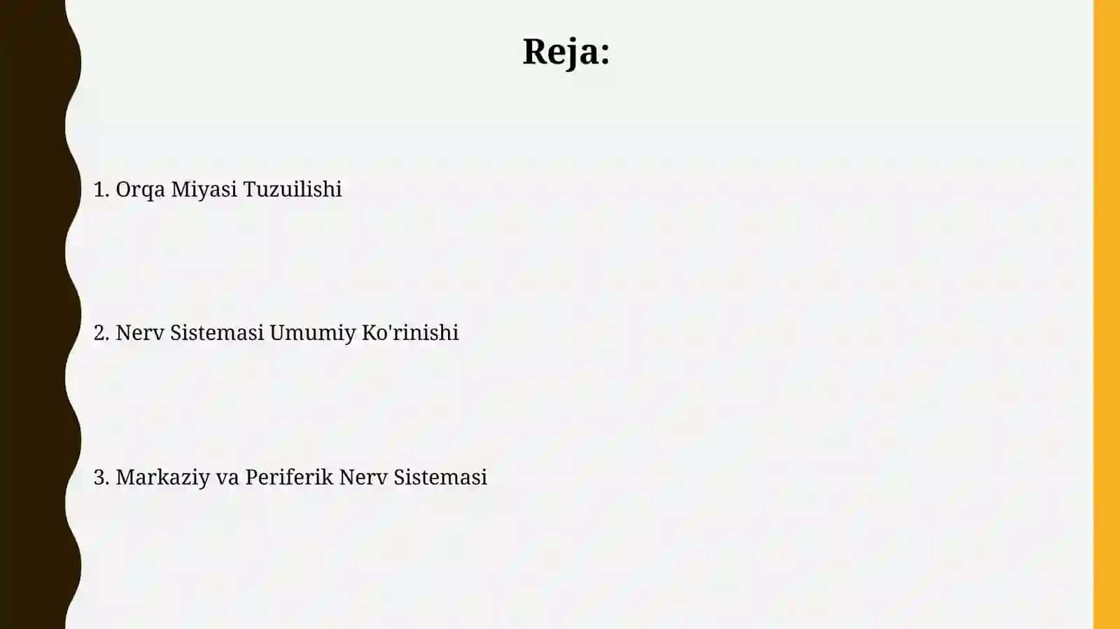 Asab tizimi.Markaziy va periferik nerv tizimi va orqa miyauningtuzilishi 2