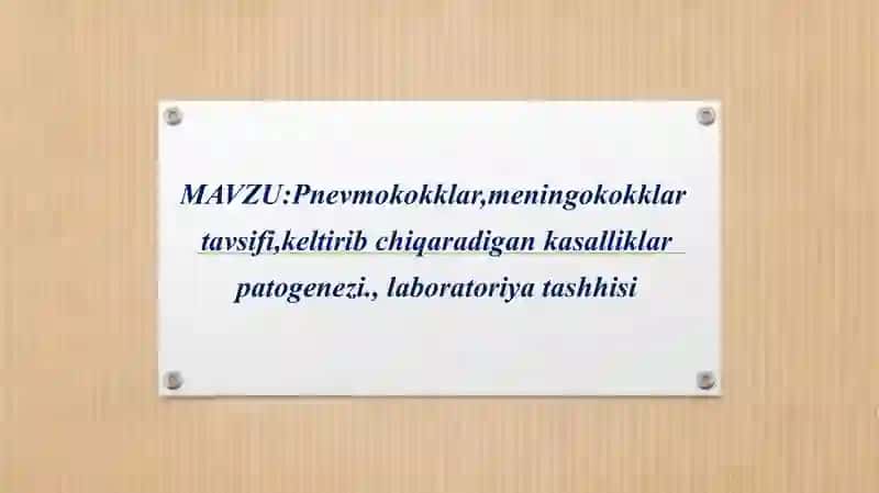Pnevmokokklar,meningokokklar tavsifi,keltirib chiqaradigan kasalliklar patogenezi., laboratoriya tas 2