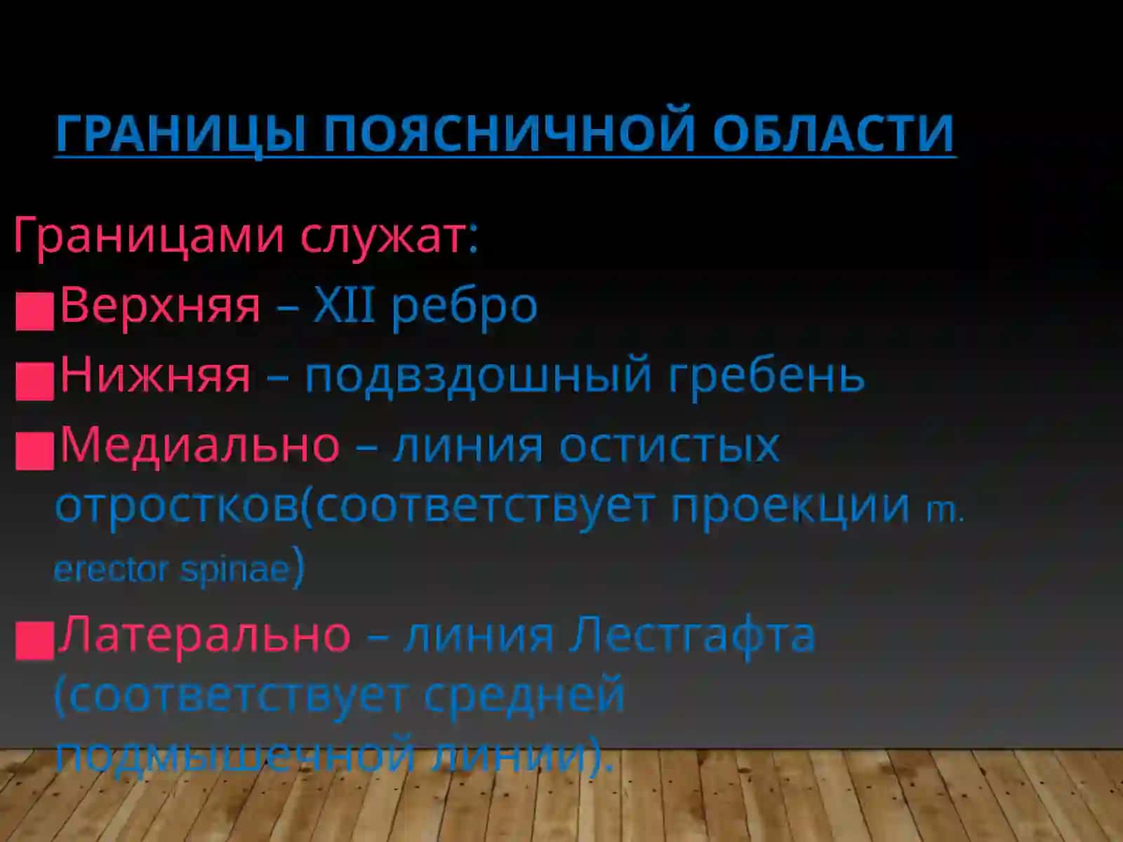 Клиническая анатомия поясничной области 2