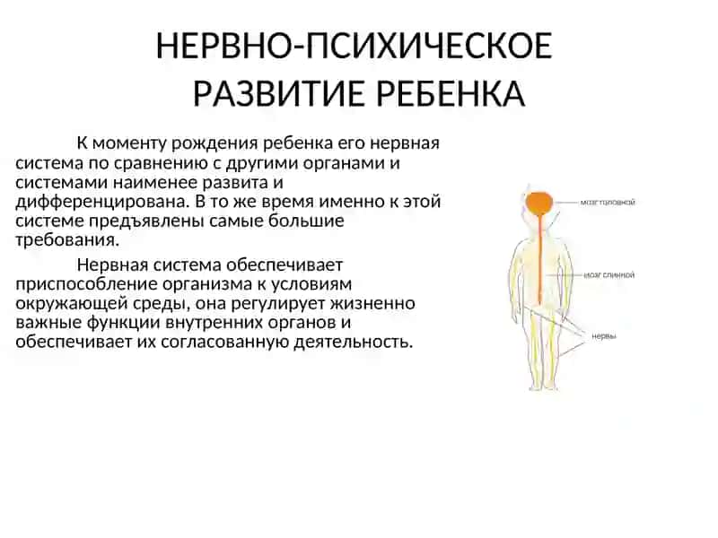НЕРВНО-ПСИХИЧЕСКОЕ РАЗВИТИЕ РЕБЕНКА 2