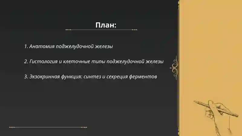 Поджелудочная железа 2