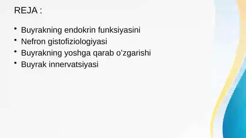 Buyrakning yukstaglomerulyar apparati sitofiziologiyasi. Nefronning gistofiziologiyasi. Buyraklar tuzilishi va regenerator imkoniyatlarining yoshga doir xususiyatlari. 2