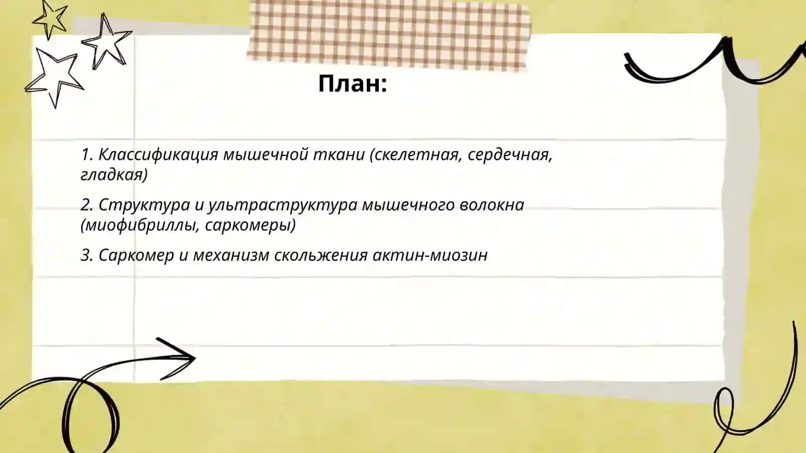 Мышечная ткань 2