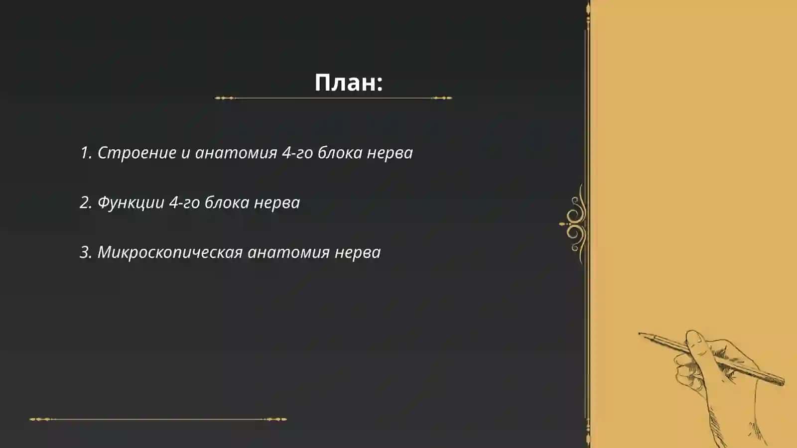 Четвёртый блоковый нерв (nervus trochlearis) 2