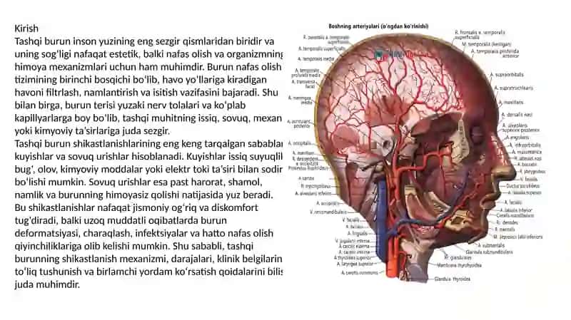 Tashqi burun kuyishi va sovuq harorat ta’sirida shikastlanish va birlamchi yordam. 2