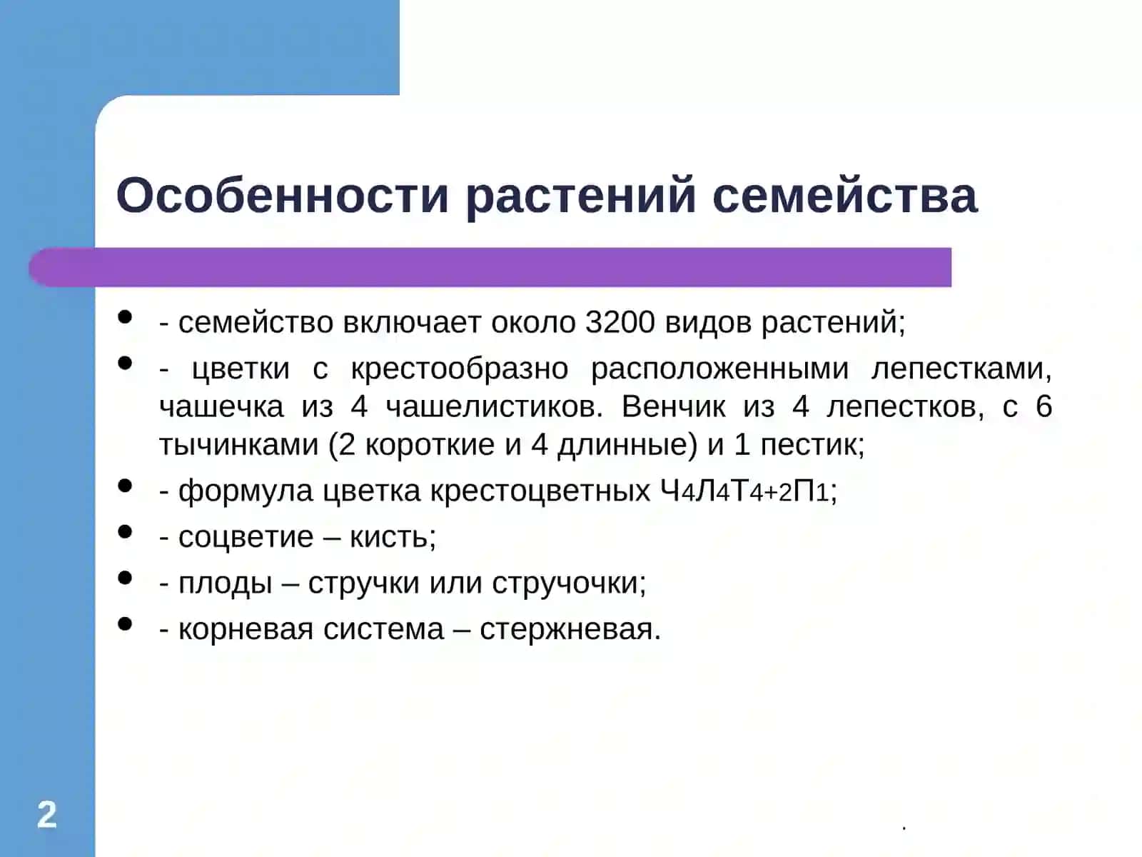 Крестоцветные 2