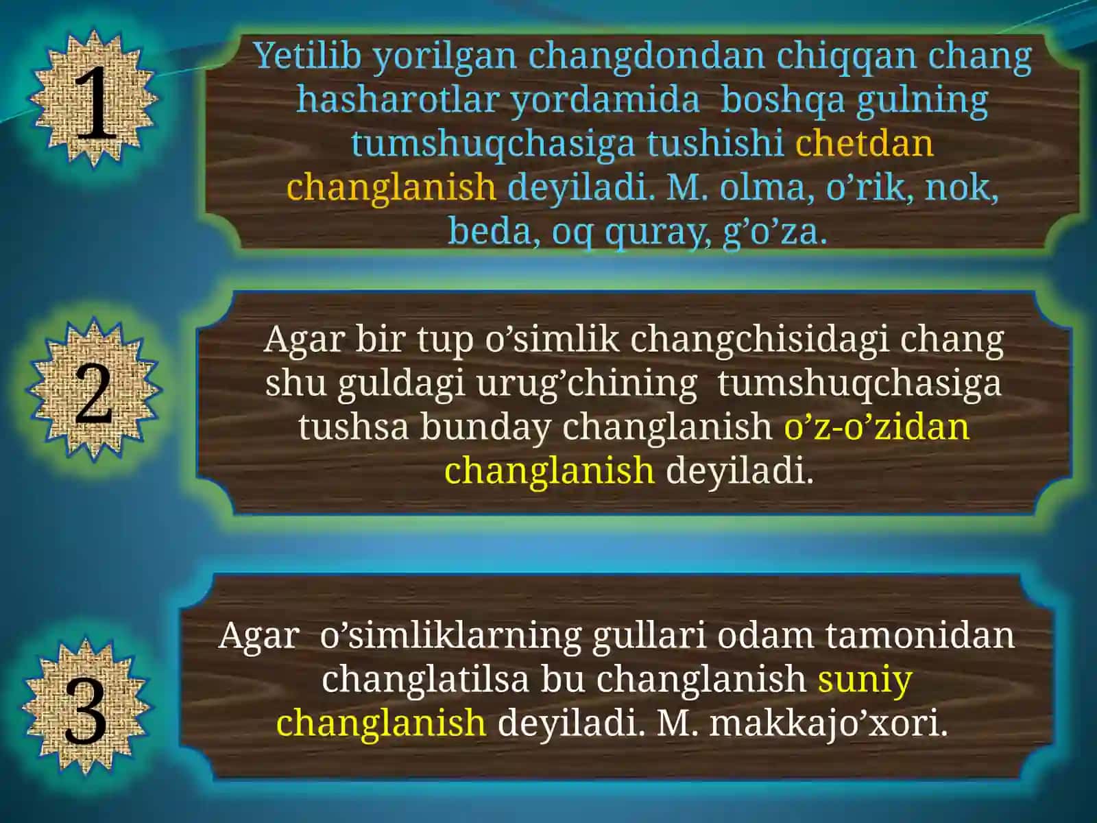 Changlanish 2