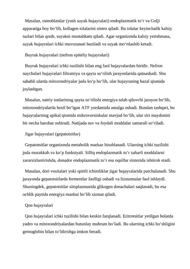 Muskul hujayralari (miositlar) 2