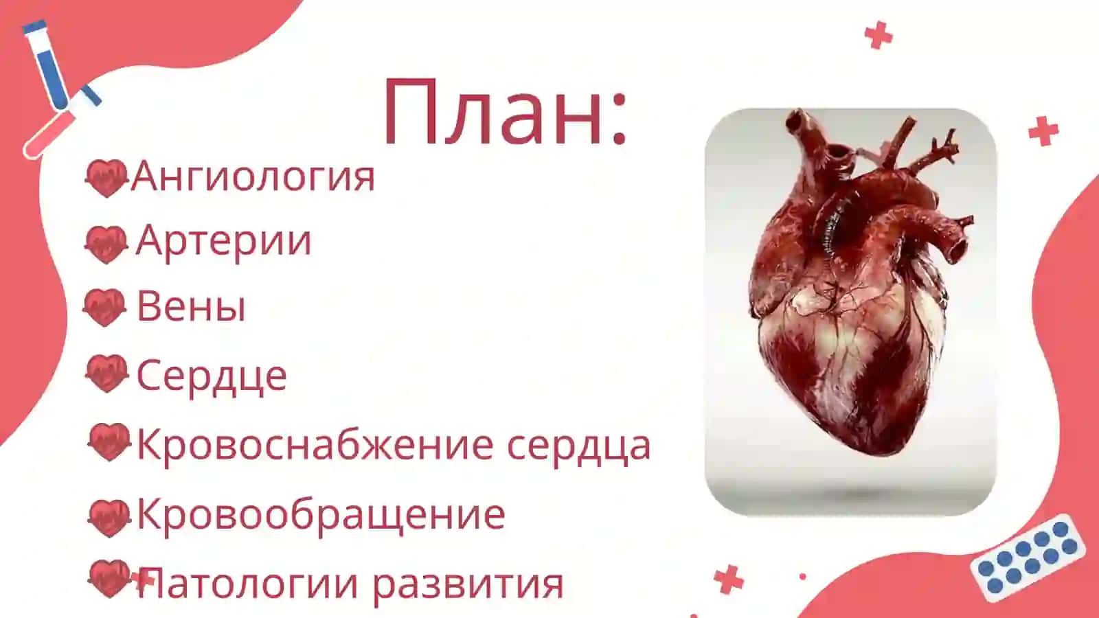 Ангиология 2