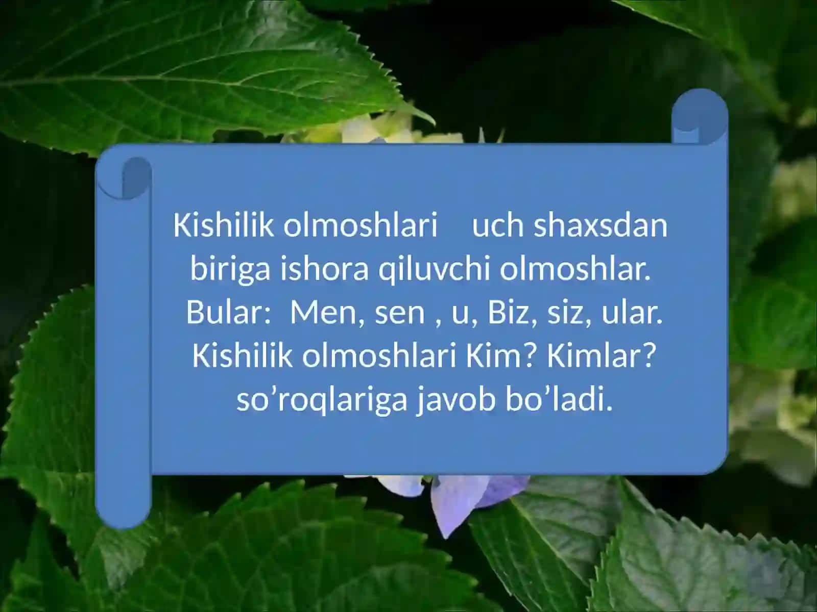 4-sinf Ona tili fanidan Kishilik olmoshlari mavzusida dars ishlanma 2