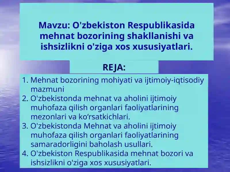 O'zbekiston Respublikasida mehnat bozorining shakllanishi va ishsizlikni o'ziga xos xususiyatlari 2