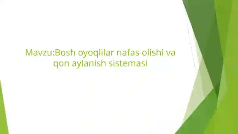 Bosh oyoqlilar nafas olishi va qon aylanish sistemasi 2