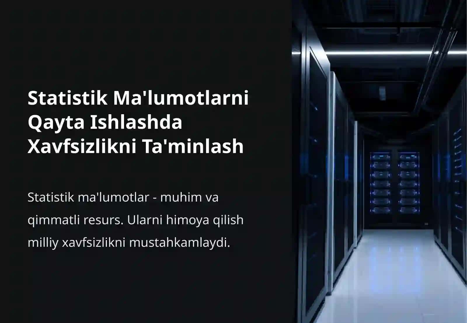 Statistik Ma'lumotlarni Qayta Ishlashda Xavfsizlikni Ta'minlash 2