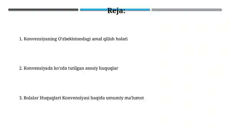 Bolalar Huquqlari Konvensiyasi 2