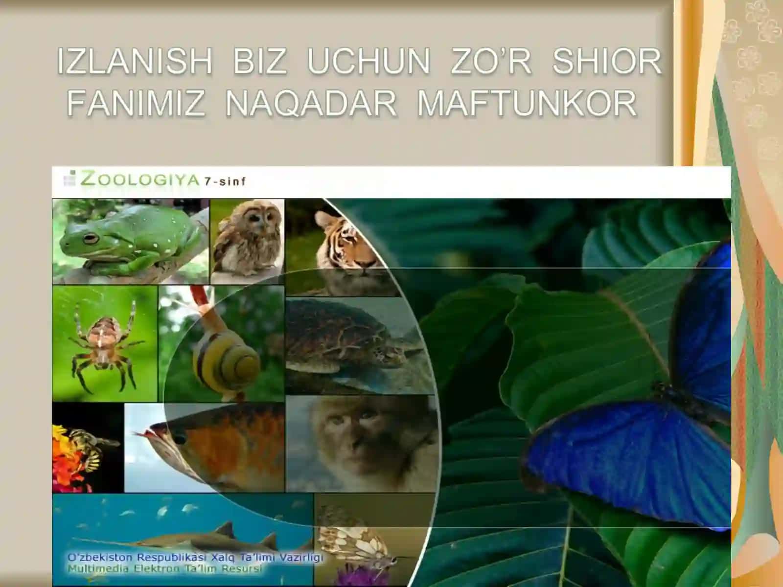 Hasharotlarning ko`payishi va rivojlanishi 2