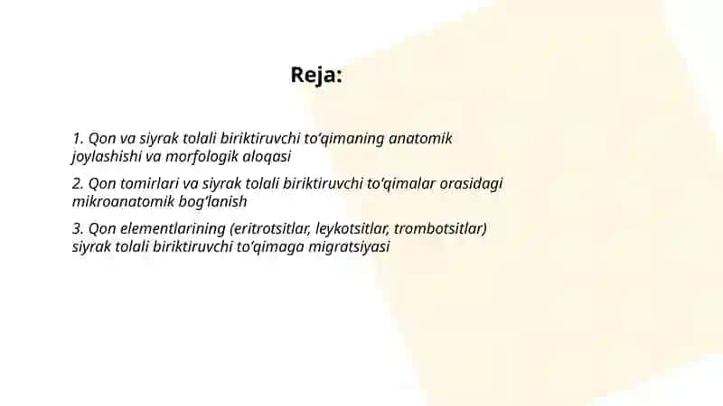 Qon va siyrak tolali biriktiruvchi toʻqimalarning oʻzaro munosabati 2