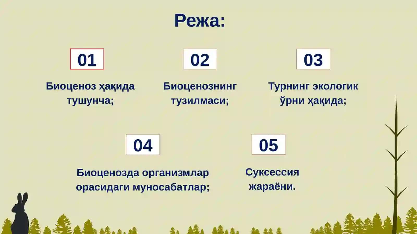 Жамоалар ҳақида таълимот(Биоценоз) 2