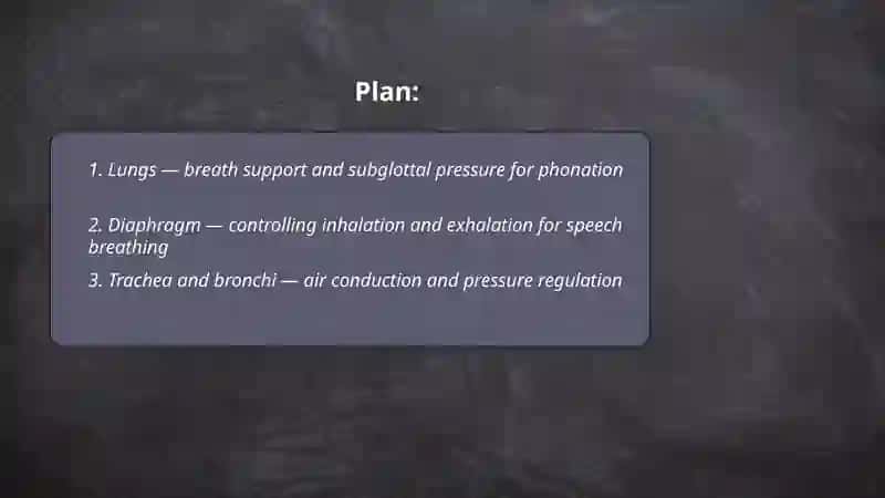 The organs of speech and their function 2
