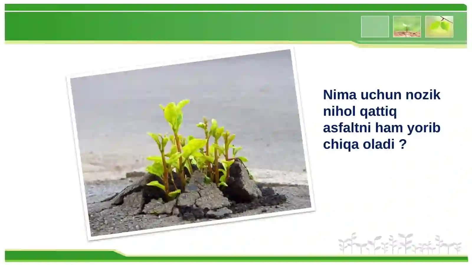 TA’LIMDAGI AKTUAL MUAMMOLARNI YOZING 2