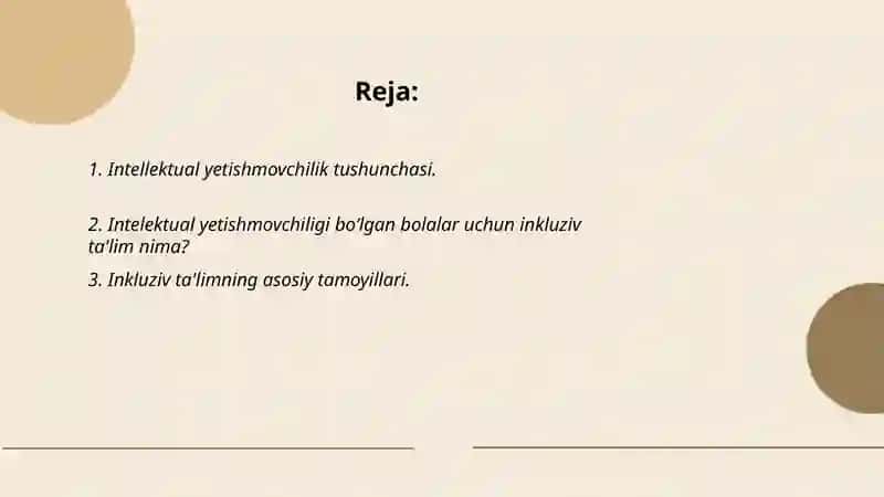 Turli darajadagi intellektual yetishmovchiligi boʻlgan bolalar uchun iklyuziv ta'lim strategiyasi va ularni amalga oshirish shart-sharoitlari 2