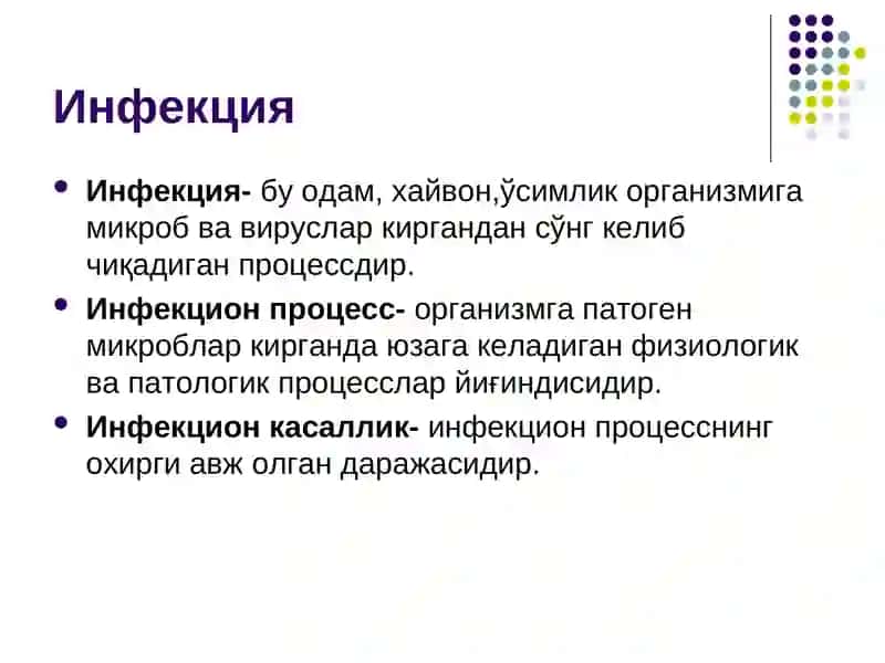Инфекция 2