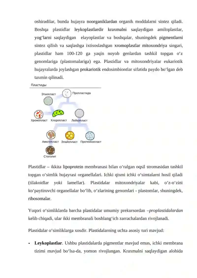 O’simlik hujayrasi va uning tuzilishi 2