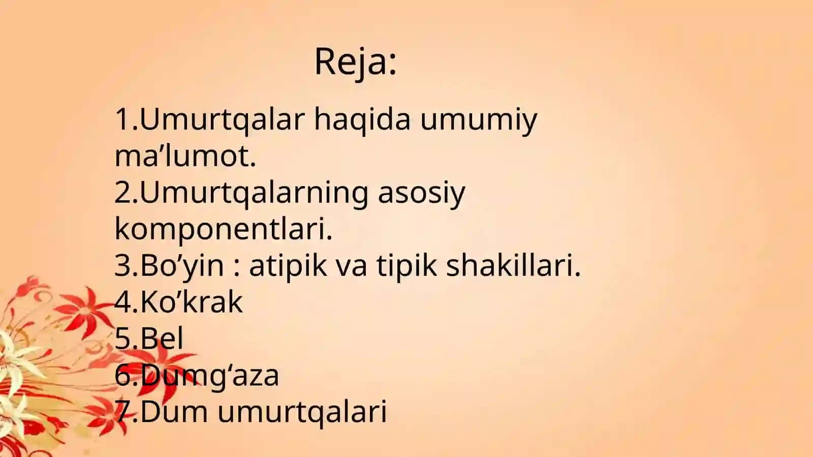 Umurtqalar -vertebrae 2