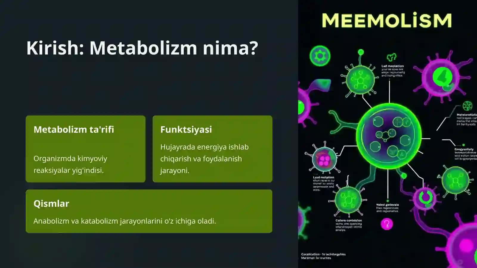 Metabolizm jarayonida energiya hosil bo’lishi va sarflanishi 2
