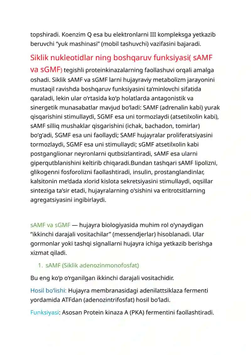 sAMF VA sGMF, uch karbon kislotalar sikli (kreb sikli) nafas olish zanjirining 1 2 3 komplekslari 2