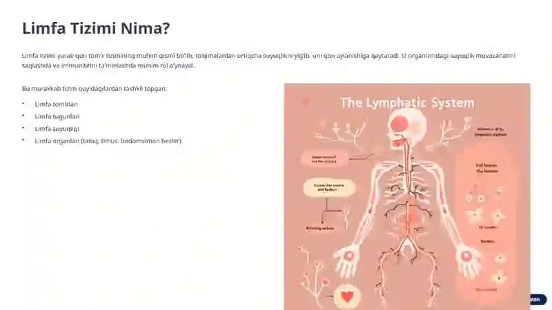 Limfa tizimi fiziologiyasi 2