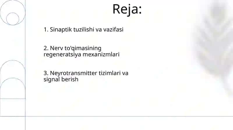 Nerv toqima-regeneratsiyasi 2