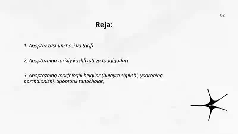 Rejalashtirilgan hujayra olimi. Apoptoz 2