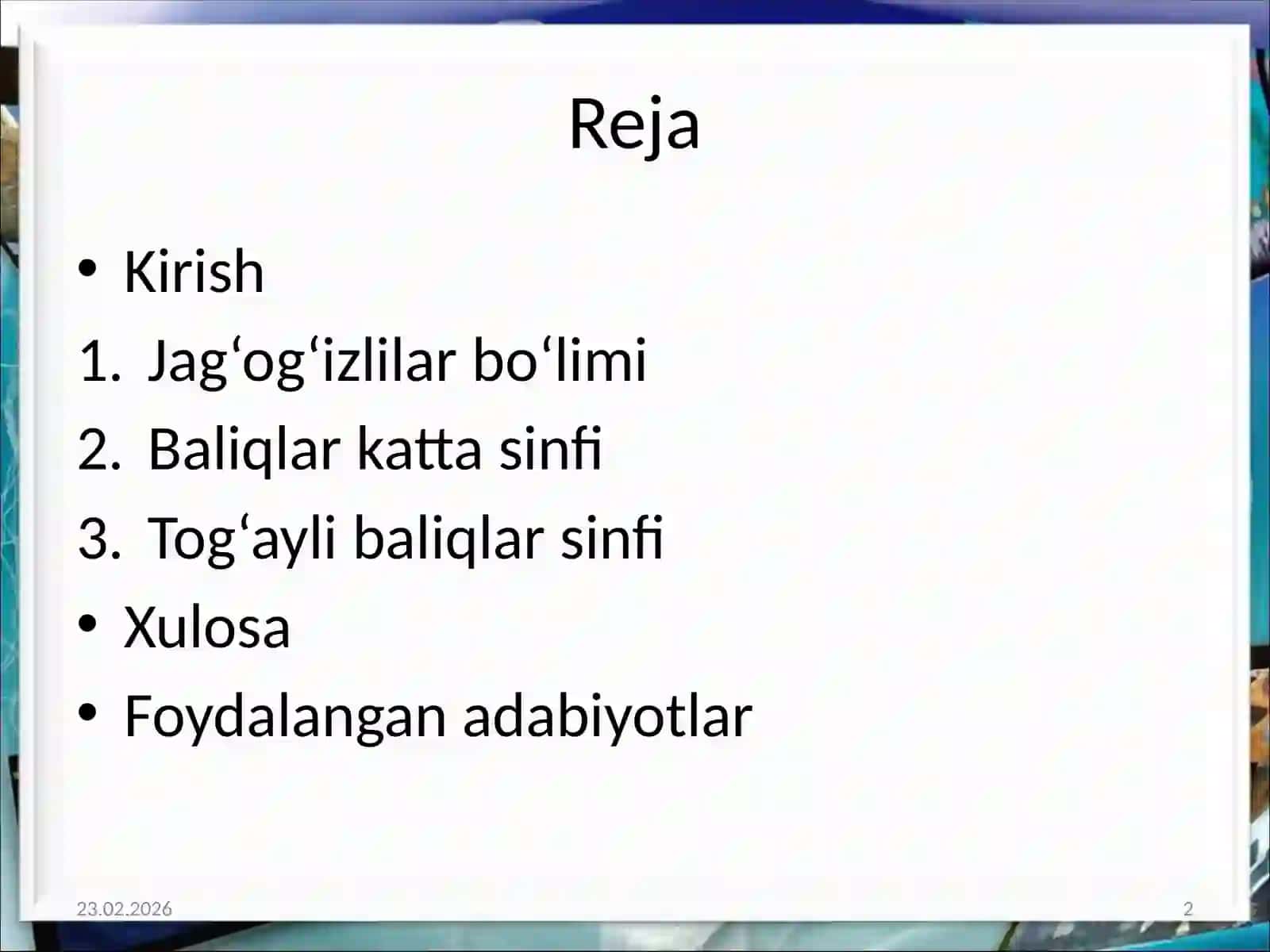 Jag'og'izlilar bolimi baliqlar katta sinfi togayli baliqlar sinifing umumiy tasnifi va sistematik sharhi 2