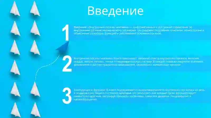 Внутренние Органы Человека 2