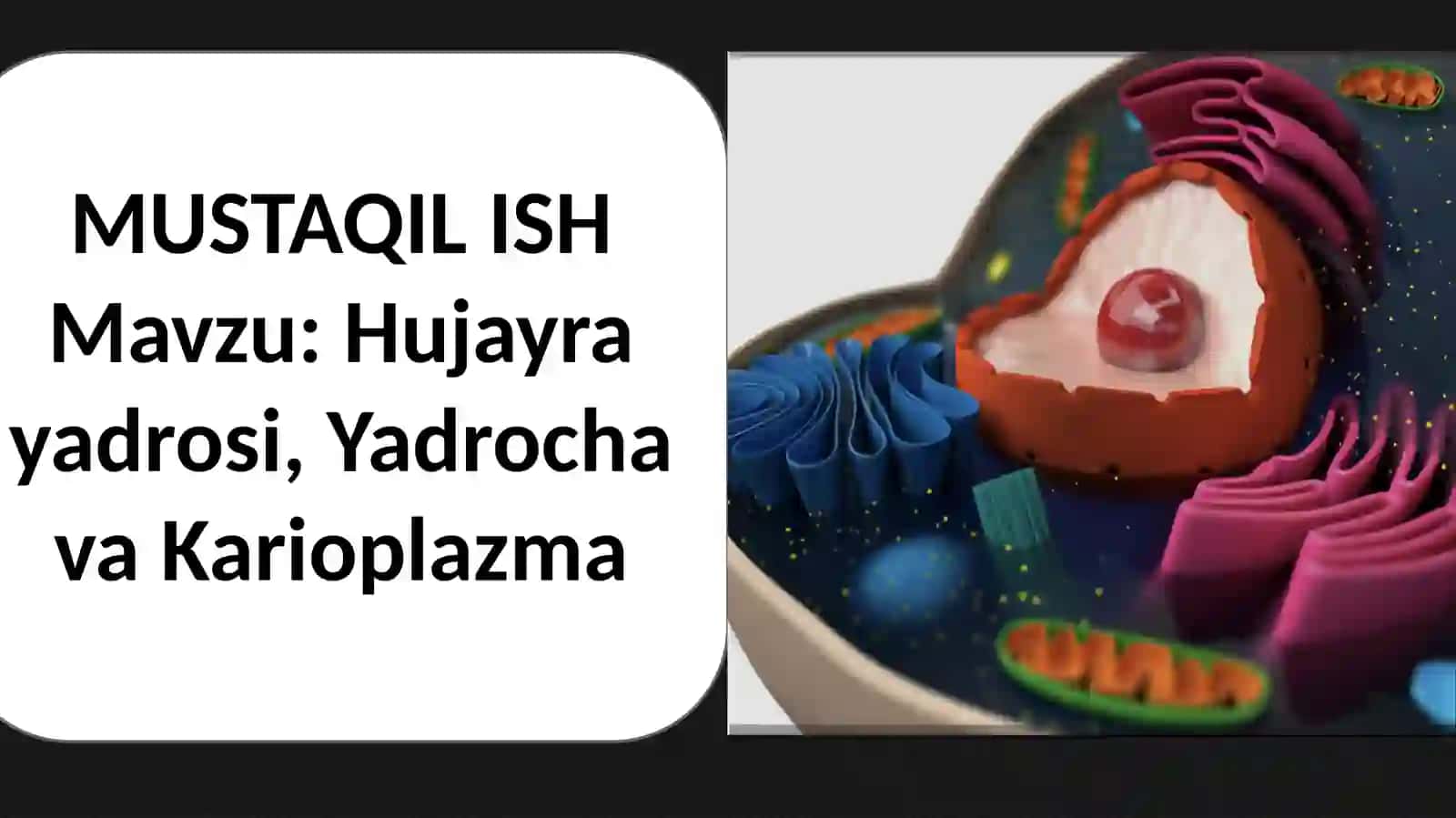 OʻrmonovaOzodaningSitologiya,GistologiyavaEmbriologiya fanidanMustaqilishtaqdimoti 2